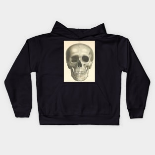 Bones of the Skull from the Front Kids Hoodie